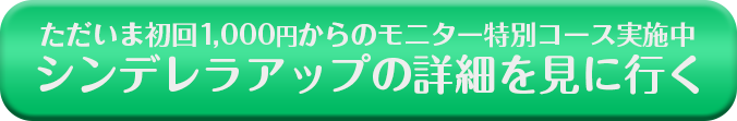 シンデレラアップキャンペーン